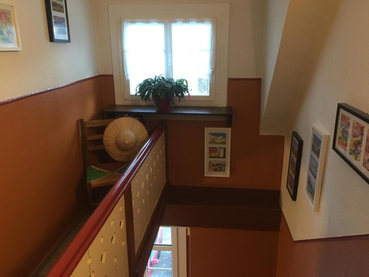 Appartement Haus Silberdistel à Todtmoos Extérieur photo