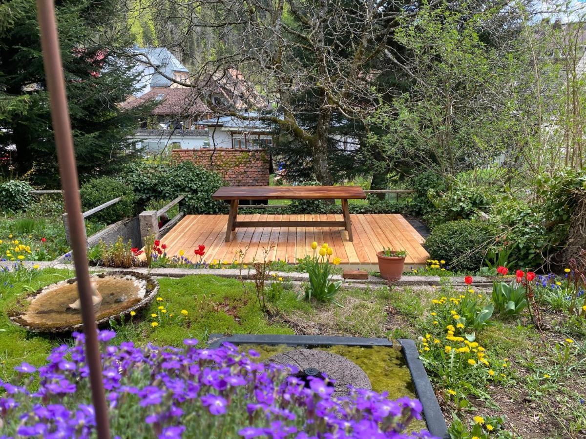 Appartement Haus Silberdistel à Todtmoos Extérieur photo