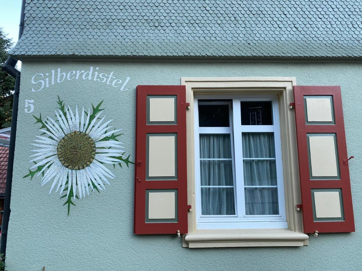 Appartement Haus Silberdistel à Todtmoos Extérieur photo